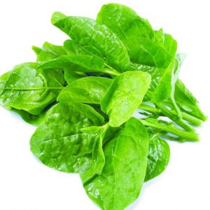 木耳菜/kg -SAN CHOI KG