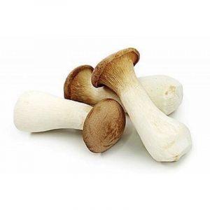 杏鲍菇(真空包装) - KING OYSTERPILZE VACUUM 200g