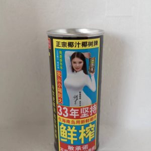 椰树牌椰汁  KOKOSGETRÄNK YESHU  245ml