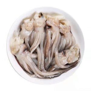 冰冻鱿鱼头-TINTENFISCH KOPF (DAU MUC ONG 500g