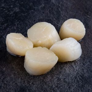 冰冻扇贝肉-JAKOBSMUSCHELN 10/20 1kg