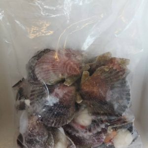 冰冻带壳扇贝-JACOBSMUSCHELN MIT SCHALE 900g